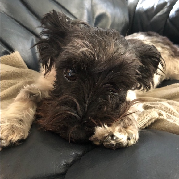 Meet your Posher, Terri - Picture 6 of 12